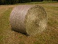 seno pre koňa na 2 dni